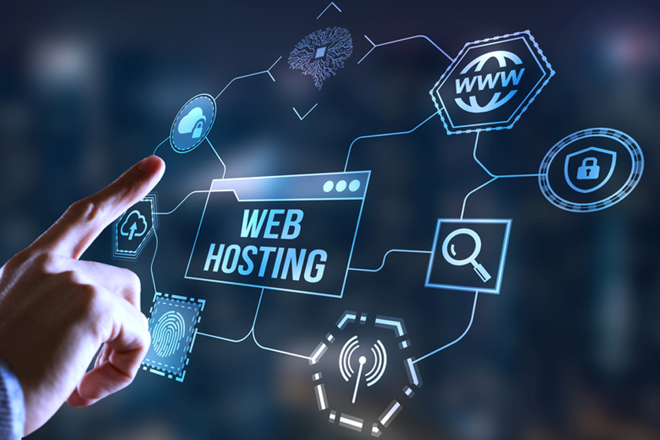 Web hosting and server management services